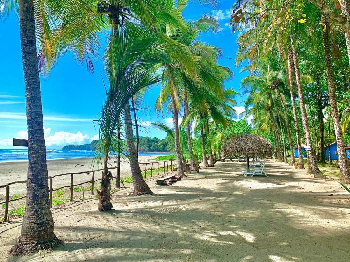 Hotel Oasis & Surf Camp Santa Catalina Exterior foto