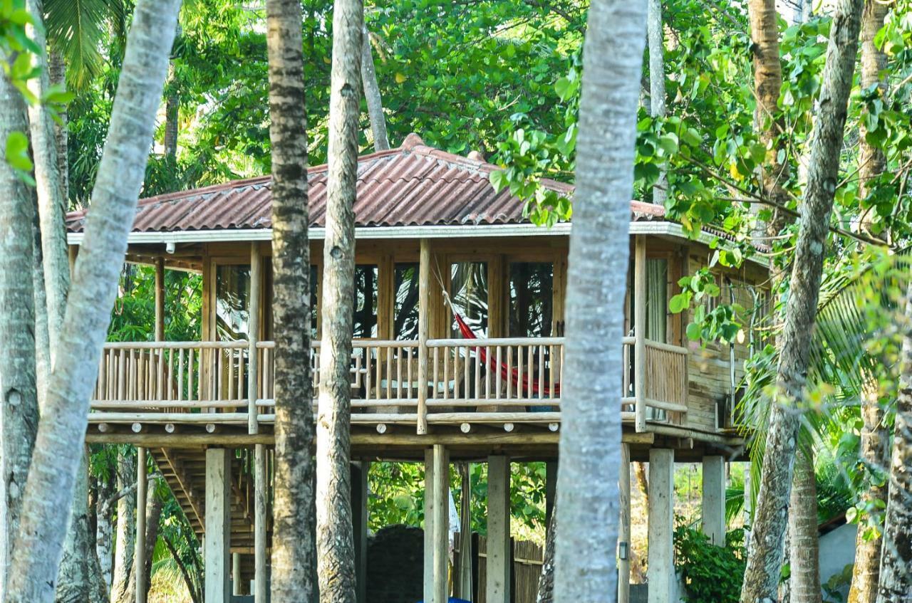 Hotel Oasis & Surf Camp Santa Catalina Exterior foto